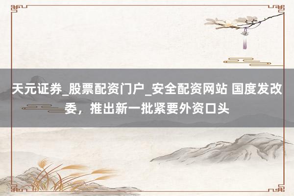 天元证券_股票配资门户_安全配资网站 国度发改委，推出新一批紧要外资口头