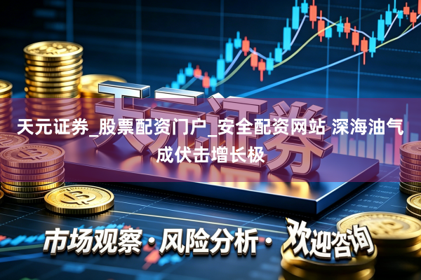 天元证券_股票配资门户_安全配资网站 深海油气成伏击增长极